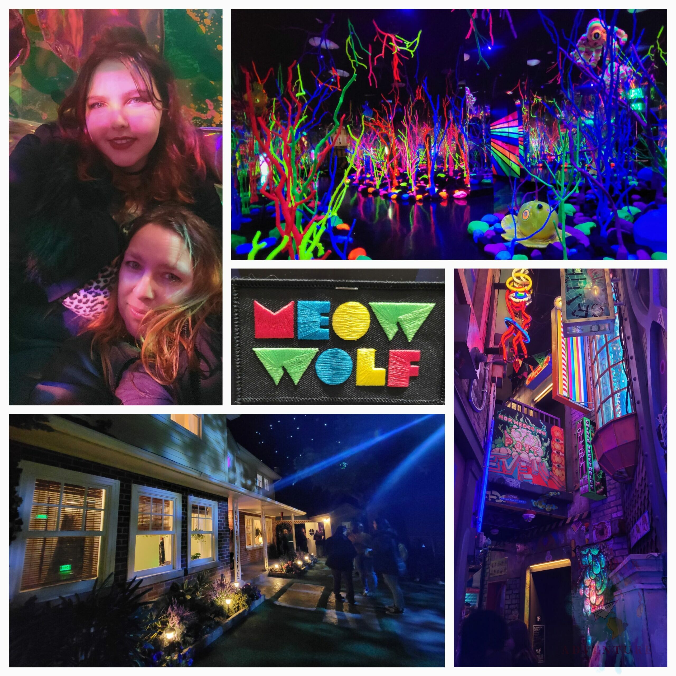 Meow Wolf in Grapevine, TX