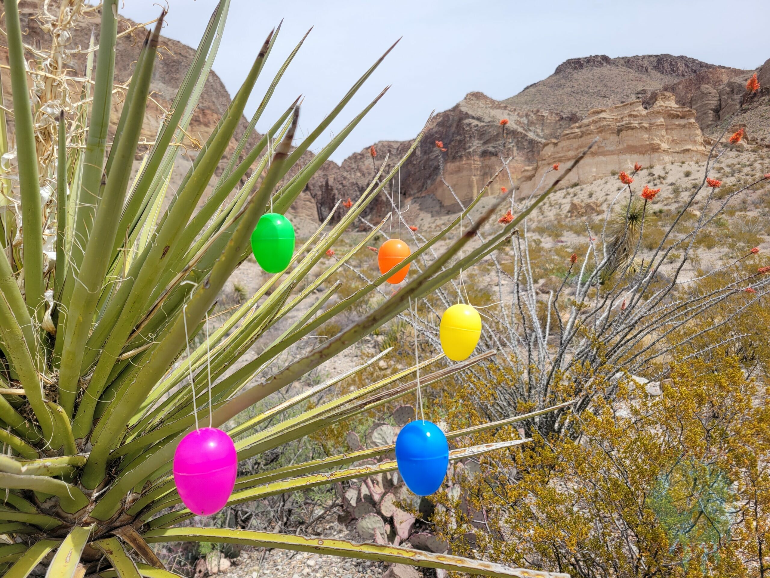 Big Bend – 5. Versuch / Eiersuche im Easter Egg Valley