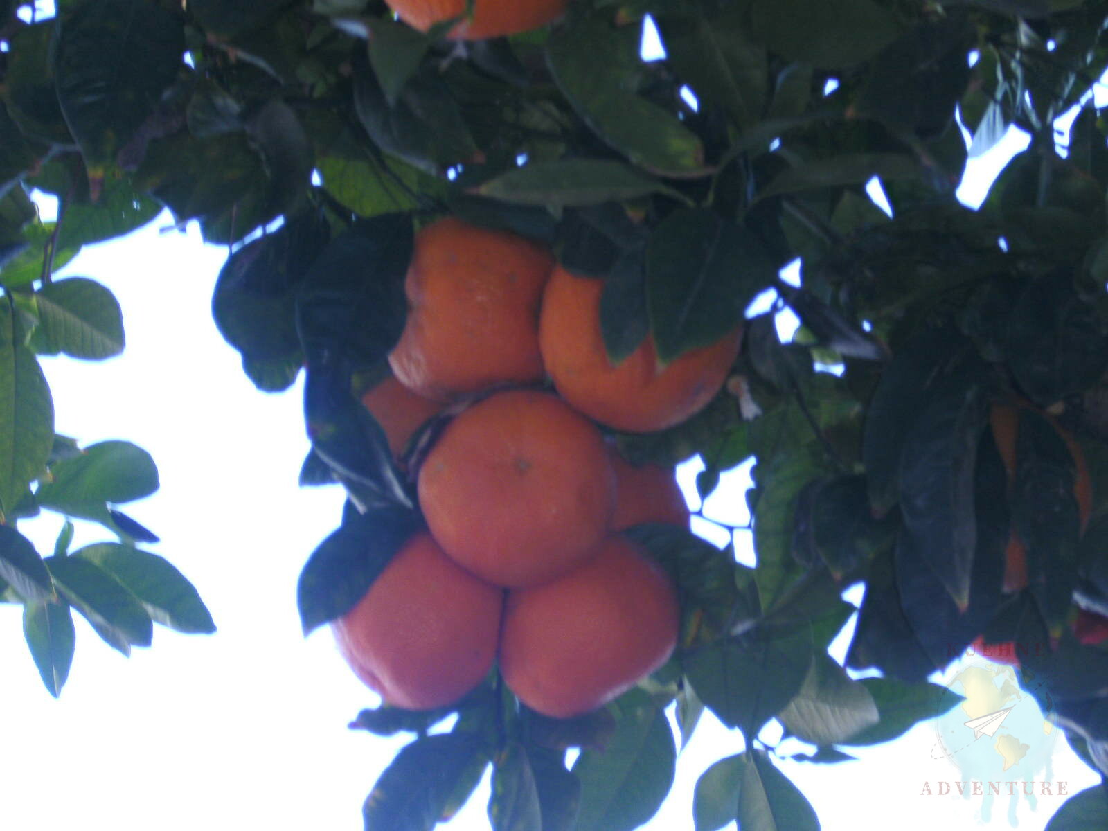 Urlaub in Mojácar (Spanien)