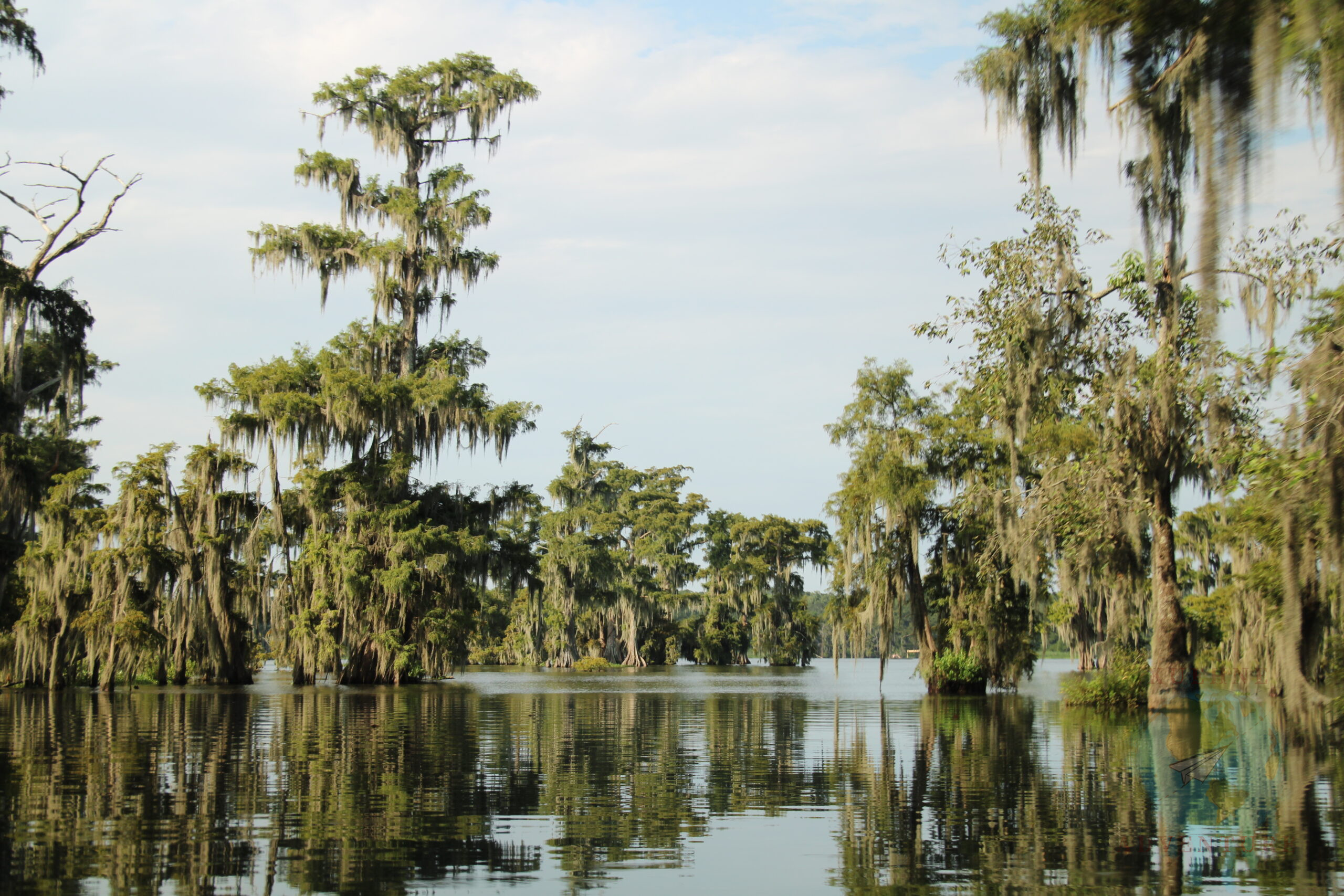 Louisiana 207 – Tour